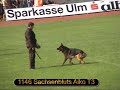 SV BSZS 2005 Ulm GHKL Ruden TSB Protection service part 1