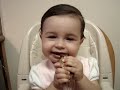 carnivora!!! sin dientes, je je carnivora!!! sin dientes, je je
