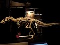 T-rex Walking T-rex Walking