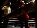 DannyD zilvermeeuwen kickboksen Delvers