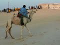 Tuaregs & camels, Desert Festival, Essakane, Tombouctou 2006
