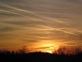 PROTECT A COW SANCTUARY SKY:ATMOSPHERIC ANOMALIES