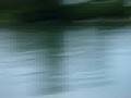 videos de Day At The Lake