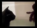 JackThe Kitty Wizard: Scrub A Dub A EVIL!! Part 2 of 2 JackThe Kitty Wizard: Scrub A Dub A EVIL!! Part 2 of 2