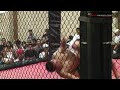 MMAHawaii.com @ Gotskillz Fighter Part 4
