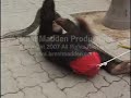 Chimpanzee and Burmese Python Playmates Friends