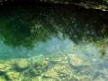 videos de Cenote de playa Xcacel, Tulum, Quintana Roo, Mx.