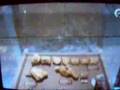 Museo Paleontol�gico de Alpuente