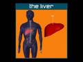Effects of electrolytes on swimming
