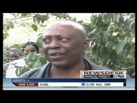 Government wants coffee farmers to elect members of the new Kenya Planters of Cooperate Union Government wants coffee farmers to elect members of the new Kenya Planters of Cooperate Union