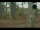 videos de Dirt Bike 2