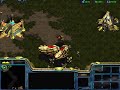 Starcraft Protoss 7: Homeland