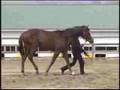 インシェーメの2006(父スペシャルウィーク)
