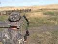 bow-shot-to-coyote