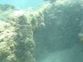 videos de Hanauma Bay