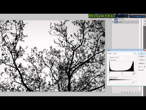 how to isolate object in photoshop