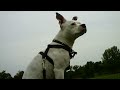 CLIP0010