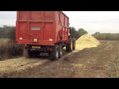 how to harvest willow