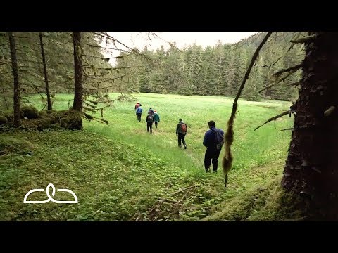 Bushwhack Into Another World | Alaska