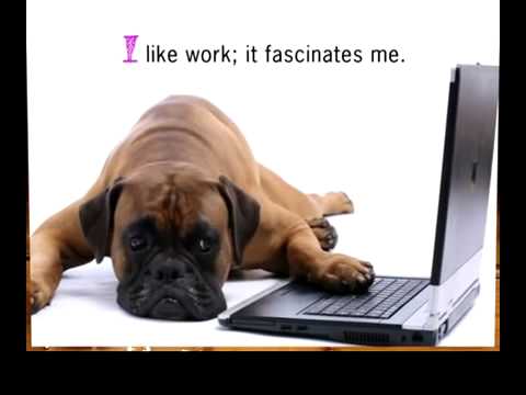 itsybitsycorner - A itsy bitsy teeny weeny bit of laughter to make your day.
