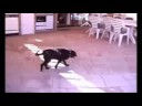 Mona in Spanien