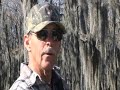 Giant Salvinia at Caddo Lake