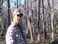 Giant Salvinia at Caddo Lake