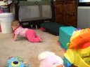 Bella motoring around the house