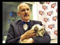 janusz korwin mikke   wolny rynek a socjalizm we 1/4