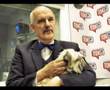 Janusz Korwin Mikke - Wolny rynek, a socjalizm WE 1/4