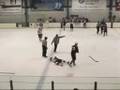 Hockey Fight in Hershey