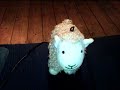rothbury-street-fair.html