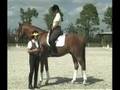 Dressage Teacher Jane Savoie and The Connecting Half Halt
