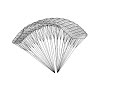 Simulation of Parafoil deflection Simulation of Parafoil deflection