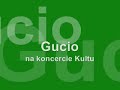 Kult i Gucio, Gucio i Kult