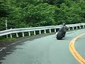 Rodeo motorcycle Swedsih 330 Review-3 Rodeo motorcycle Swedsih 330 Review-3