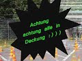 sefs erste fahrstunden