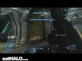 Oddball Trips