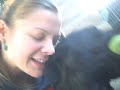 Meet Bronson (aka Bo!) Available for Adoption -).mov
