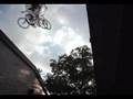 Shredding BMX
