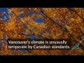 City Profile - Vancouver, Brit …