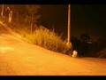 Dorifto-Ass-Drifting