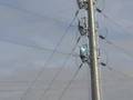 High Voltage Electrical Wire Fire - Northfield, MN