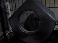 MOV00483