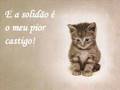 Assistir ao v�deo