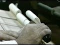 Per Tengstrand movie-Me and My Steinway With Neeme Jarvi and Per Tengstrand movie-Me and My Steinway With Neeme Jarvi and