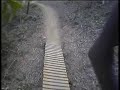 MTB Gap Creek (Pipline Trail)