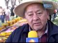 videos de Como cada año la calzada  Fray Antonio se vistió de pétalos