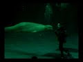 しまね海洋館アクアス 3