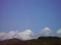 HKGFS  RC Jetstream 41 w/eagle eye